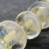 Lemon capsule stripe
